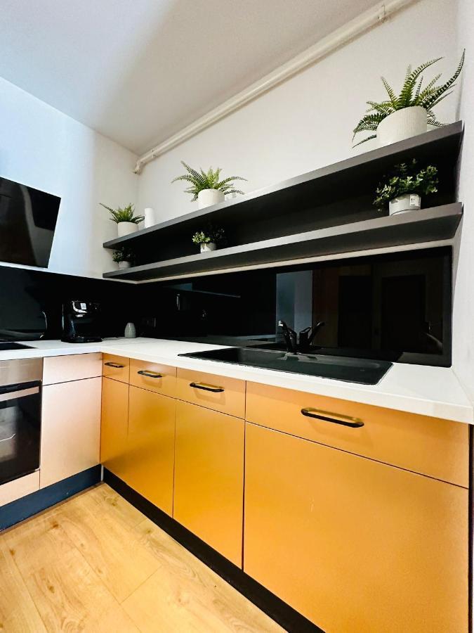 Kharisma Apartment-Free Parking-Ultracentral Cluj-Napoca Ngoại thất bức ảnh